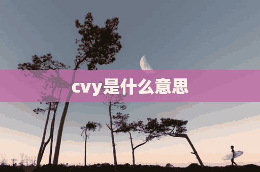 cvy是什么意思